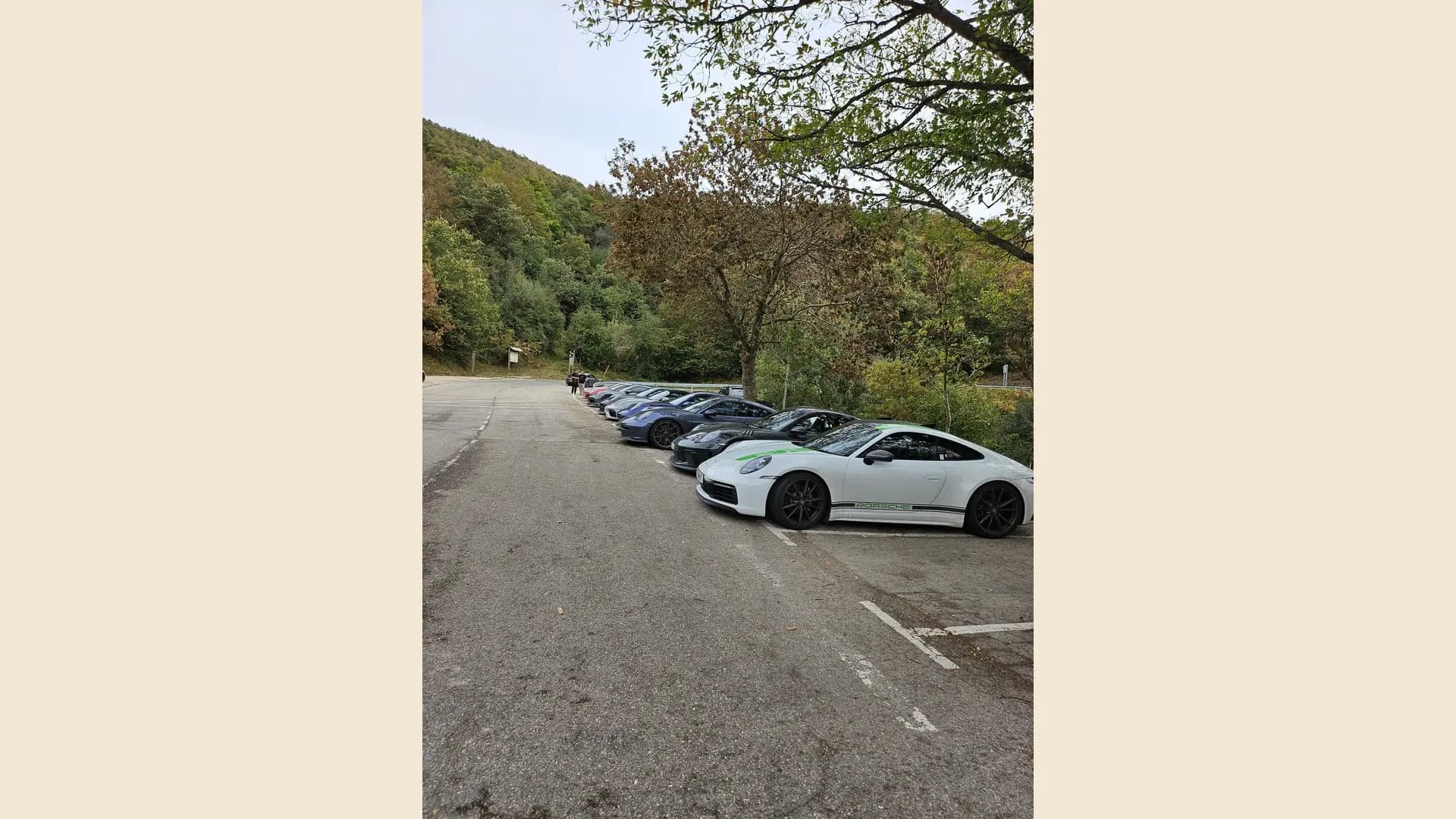 A line of sports cars parked beside a wooded road during a tour